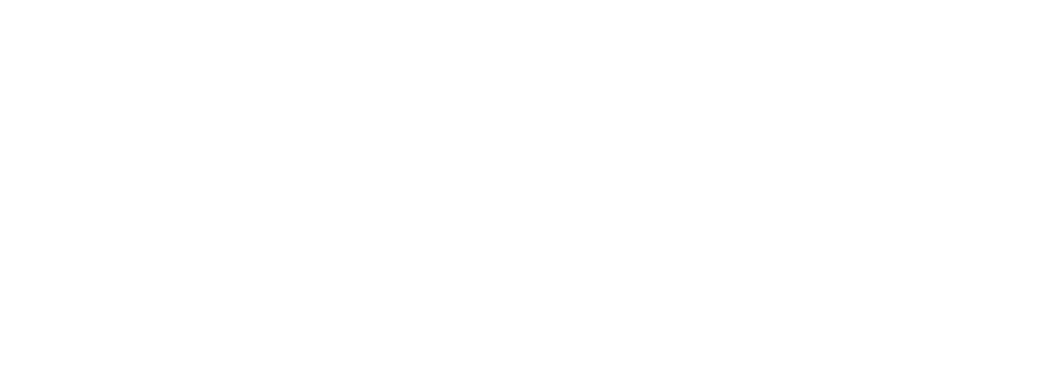 CEIS logo